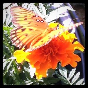 CLOSET revamp! Reduced prices & NEW listings soon!